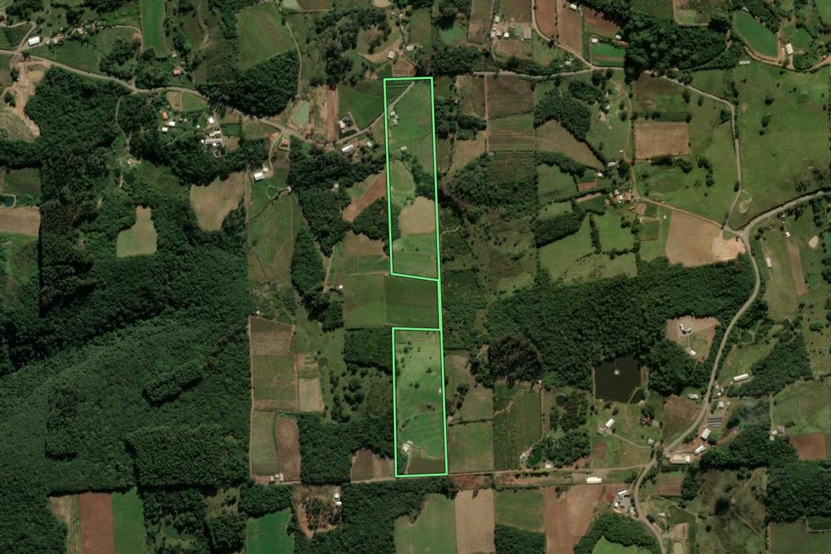 Imagem de satélite do imóvel rural em Nova Roma do Sul (RS), com o contorno declarado no CAR desenhado por cima.