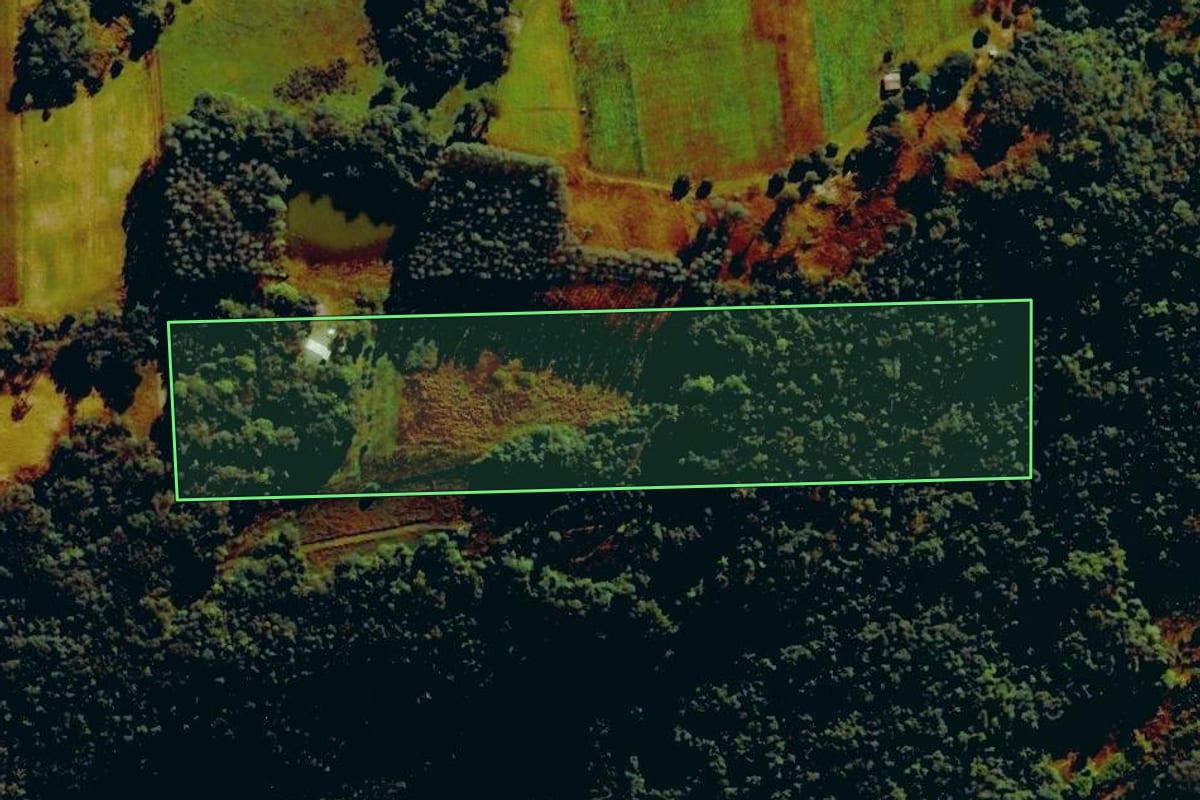 Imagem de satélite do imóvel rural em Nova Roma do Sul (RS), com o contorno declarado no CAR desenhado por cima.