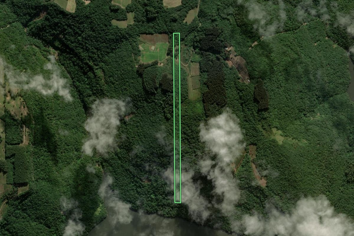 Imagem de satélite do imóvel rural em Nova Roma do Sul (RS), com o contorno declarado no CAR desenhado por cima.