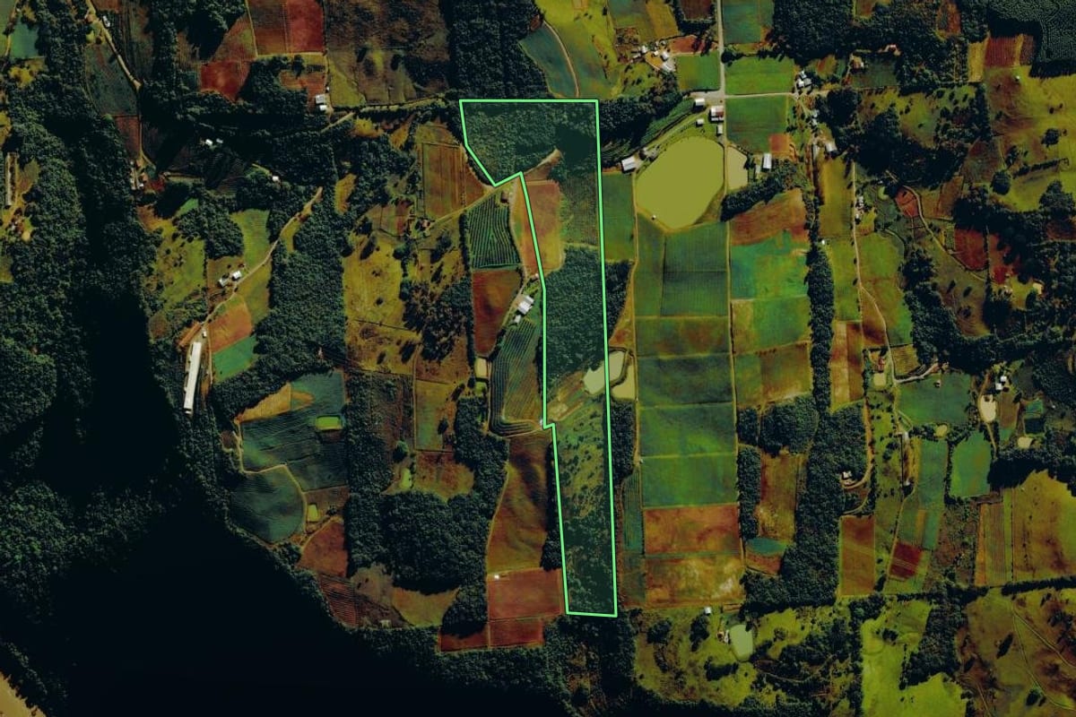 Imagem de satélite do imóvel rural em Nova Roma do Sul (RS), com o contorno declarado no CAR desenhado por cima.