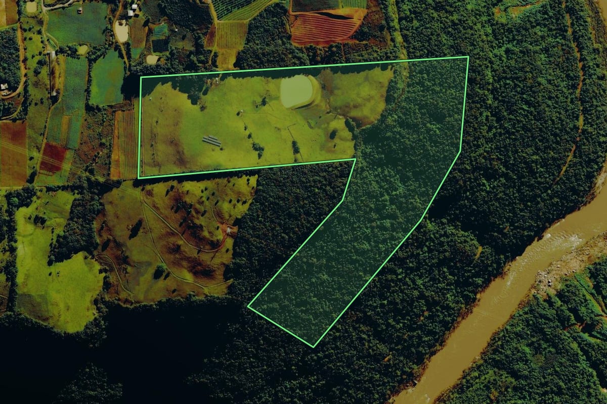 Imagem de satélite do imóvel rural em Nova Roma do Sul (RS), com o contorno declarado no CAR desenhado por cima.