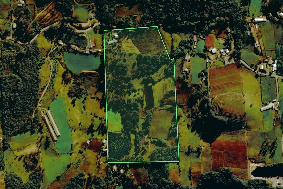 Imagem de satélite do imóvel rural em Nova Roma do Sul (RS), com o contorno declarado no CAR desenhado por cima.