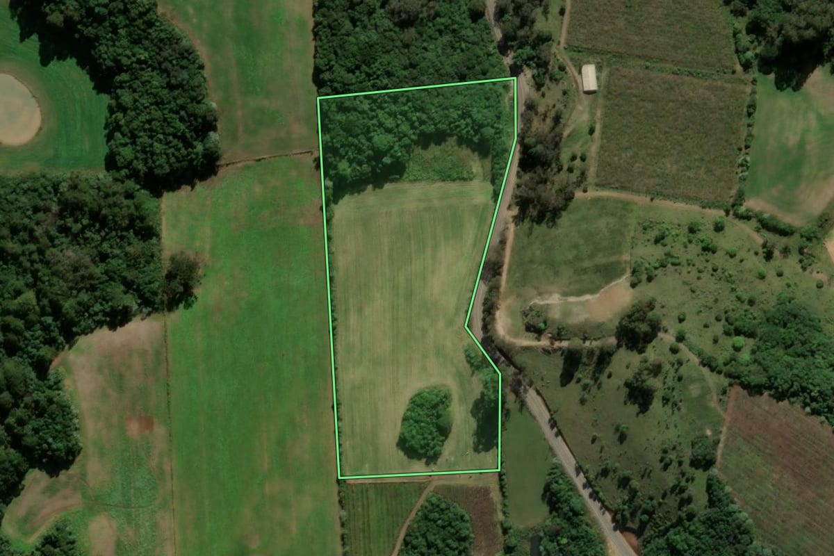 Imagem de satélite do imóvel rural em Nova Roma do Sul (RS), com o contorno declarado no CAR desenhado por cima.