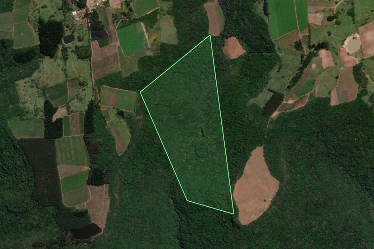Imagem de satélite do imóvel rural em Nova Roma do Sul (RS), com o contorno declarado no CAR desenhado por cima.