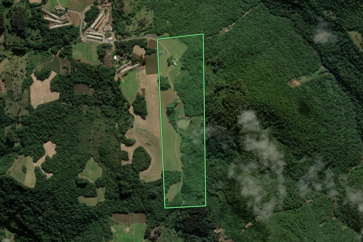 Imagem de satélite do imóvel rural em Nova Roma do Sul (RS), com o contorno declarado no CAR desenhado por cima.