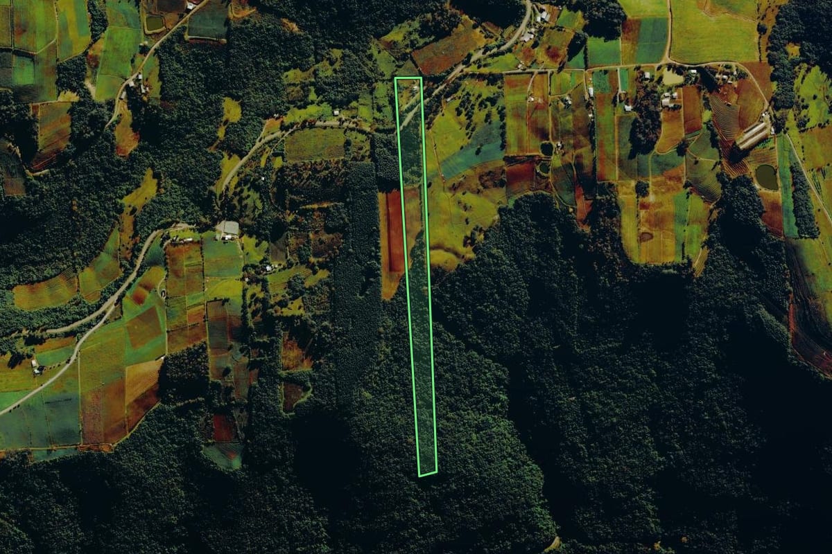 Imagem de satélite do imóvel rural em Nova Roma do Sul (RS), com o contorno declarado no CAR desenhado por cima.