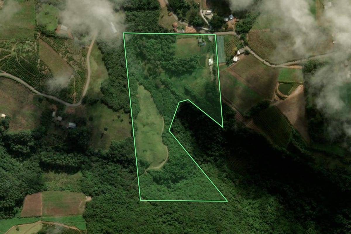 Imagem de satélite do imóvel rural em Nova Roma do Sul (RS), com o contorno declarado no CAR desenhado por cima.