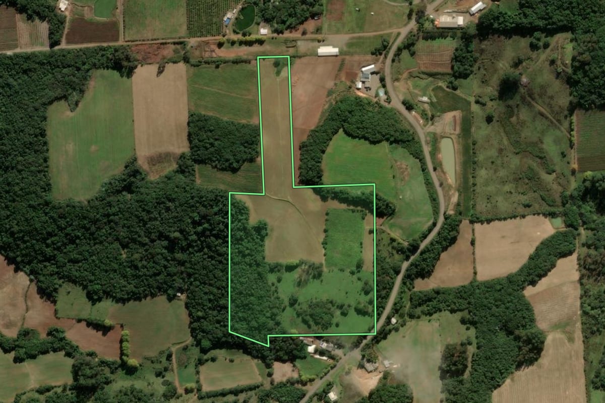 Imagem de satélite do imóvel rural em Nova Roma do Sul (RS), com o contorno declarado no CAR desenhado por cima.