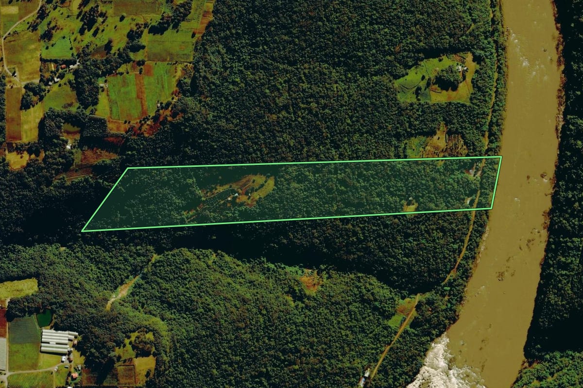 Imagem de satélite do imóvel rural em Nova Roma do Sul (RS), com o contorno declarado no CAR desenhado por cima.