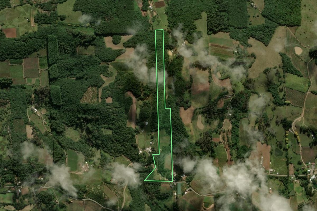 Imagem de satélite do imóvel rural em Nova Roma do Sul (RS), com o contorno declarado no CAR desenhado por cima.