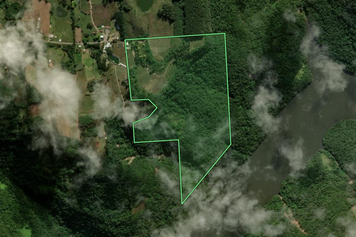 Imagem de satélite do imóvel rural em Nova Roma do Sul (RS), com o contorno declarado no CAR desenhado por cima.