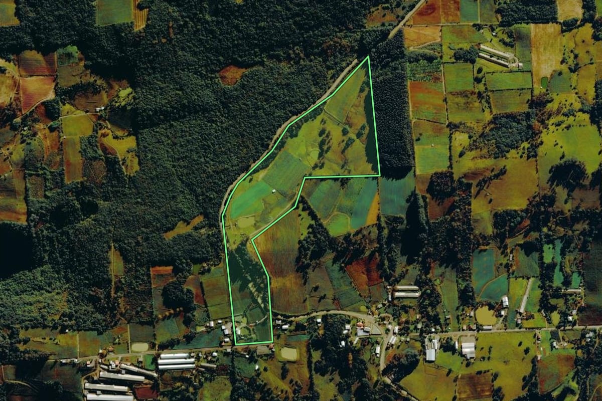 Imagem de satélite do imóvel rural em Nova Roma do Sul (RS), com o contorno declarado no CAR desenhado por cima.