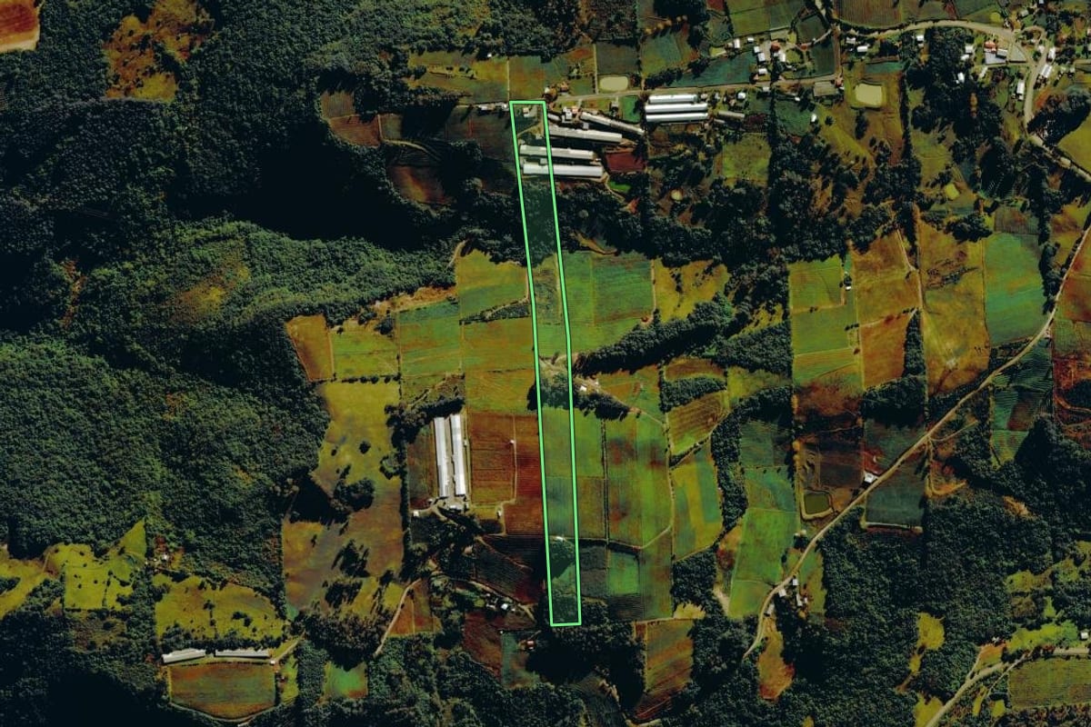 Imagem de satélite do imóvel rural em Nova Roma do Sul (RS), com o contorno declarado no CAR desenhado por cima.
