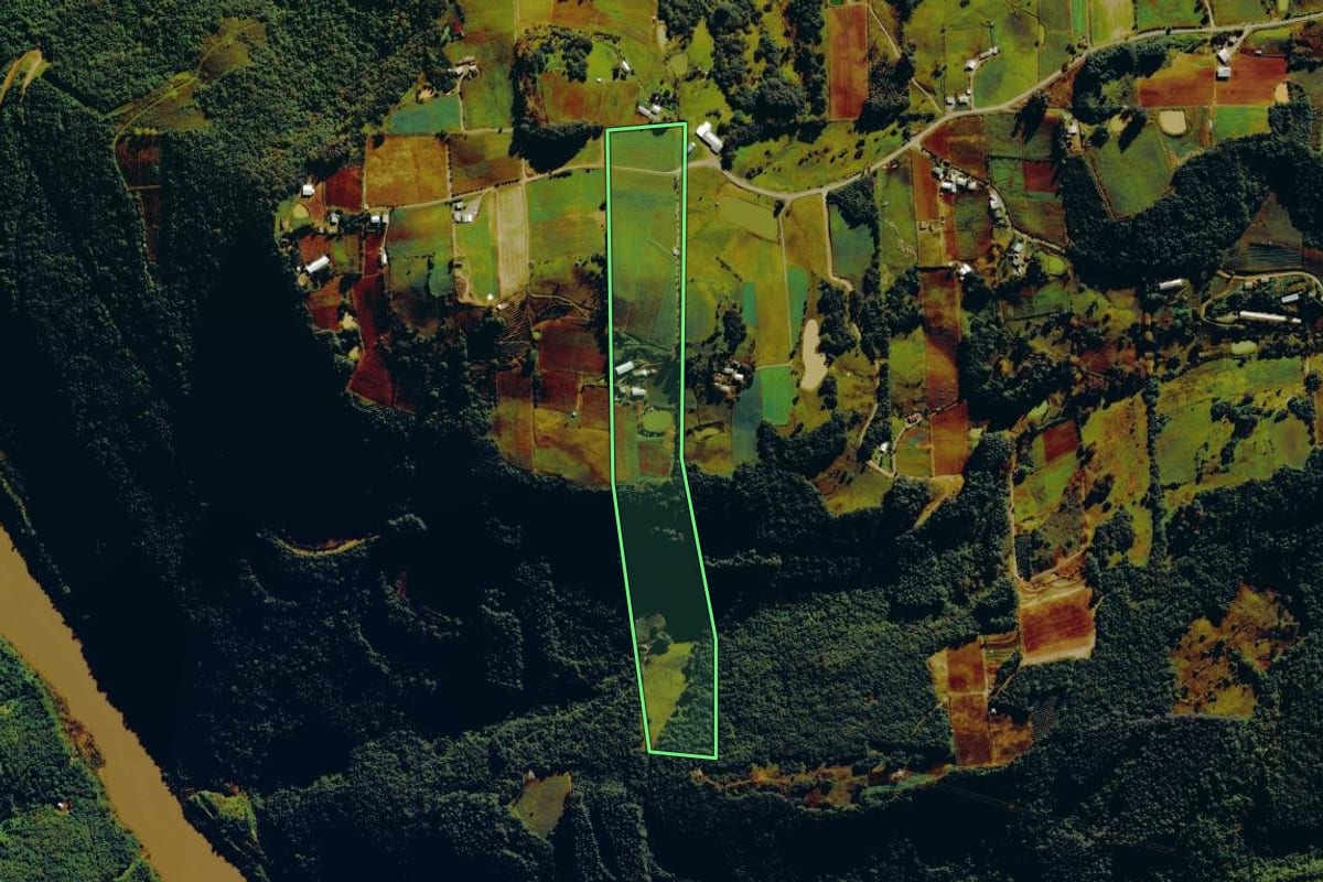 Imagem de satélite do imóvel rural em Nova Roma do Sul (RS), com o contorno declarado no CAR desenhado por cima.