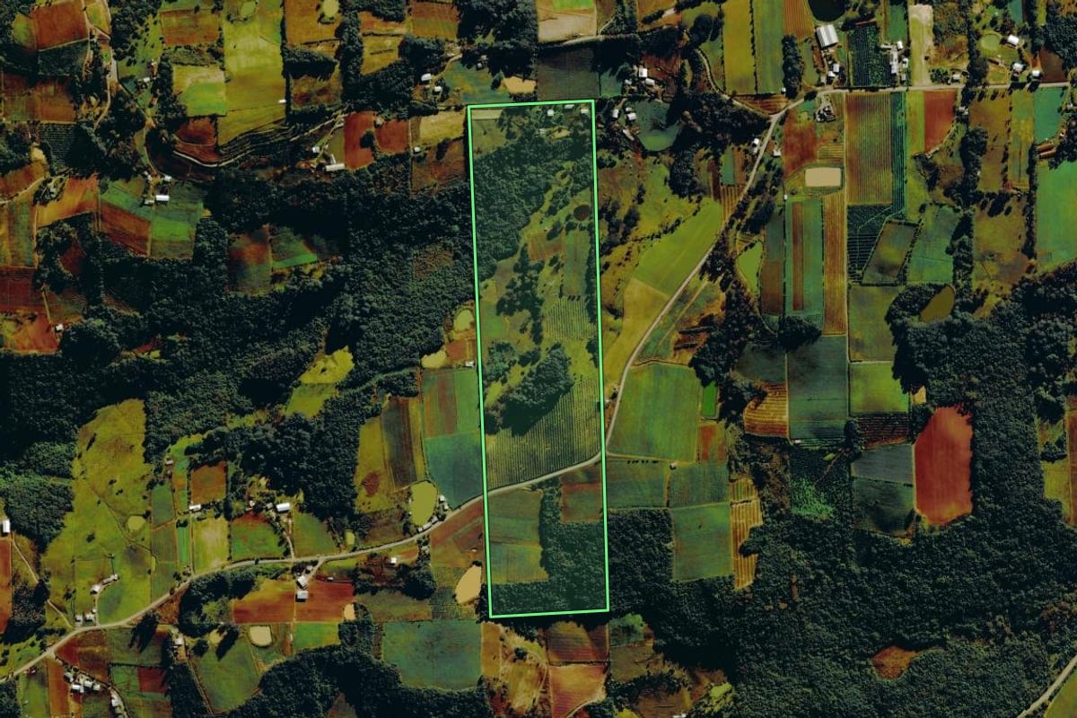 Imagem de satélite do imóvel rural em Nova Roma do Sul (RS), com o contorno declarado no CAR desenhado por cima.