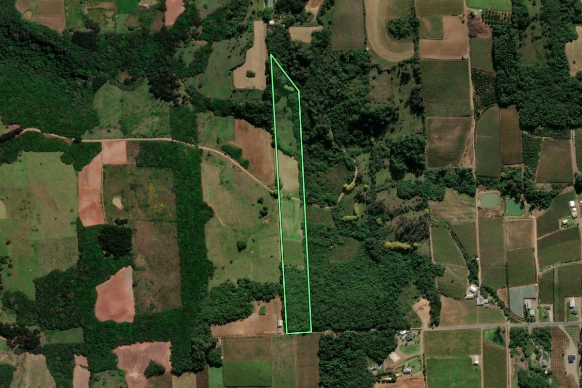Imagem de satélite do imóvel rural em Nova Roma do Sul (RS), com o contorno declarado no CAR desenhado por cima.