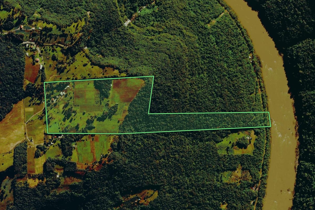 Imagem de satélite do imóvel rural em Nova Roma do Sul (RS), com o contorno declarado no CAR desenhado por cima.