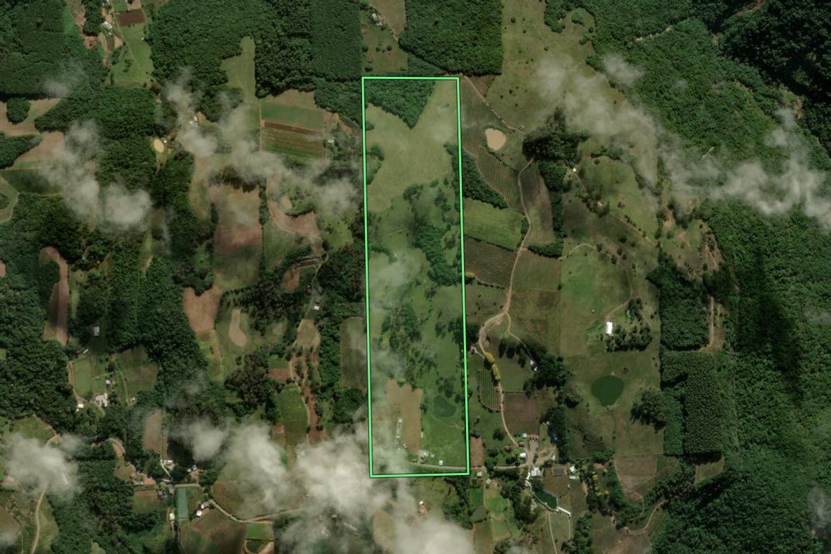 Imagem de satélite do imóvel rural em Nova Roma do Sul (RS), com o contorno declarado no CAR desenhado por cima.