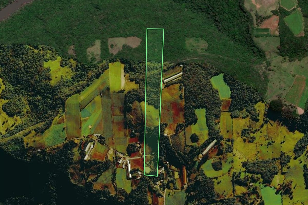 Imagem de satélite do imóvel rural em Nova Roma do Sul (RS), com o contorno declarado no CAR desenhado por cima.