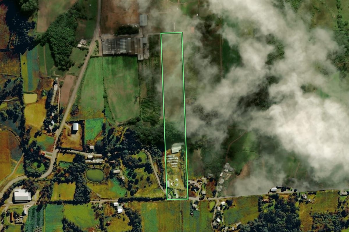 Imagem de satélite do imóvel rural em Nova Roma do Sul (RS), com o contorno declarado no CAR desenhado por cima.