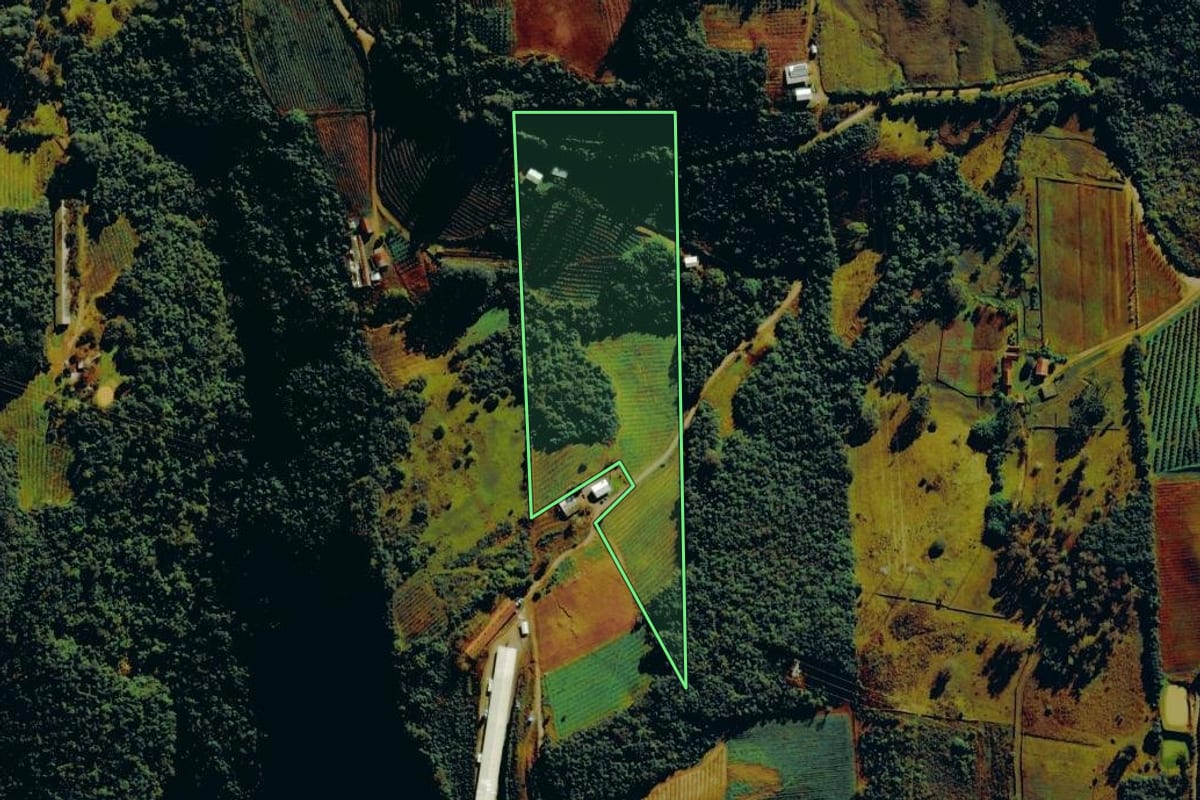 Imagem de satélite do imóvel rural em Nova Roma do Sul (RS), com o contorno declarado no CAR desenhado por cima.