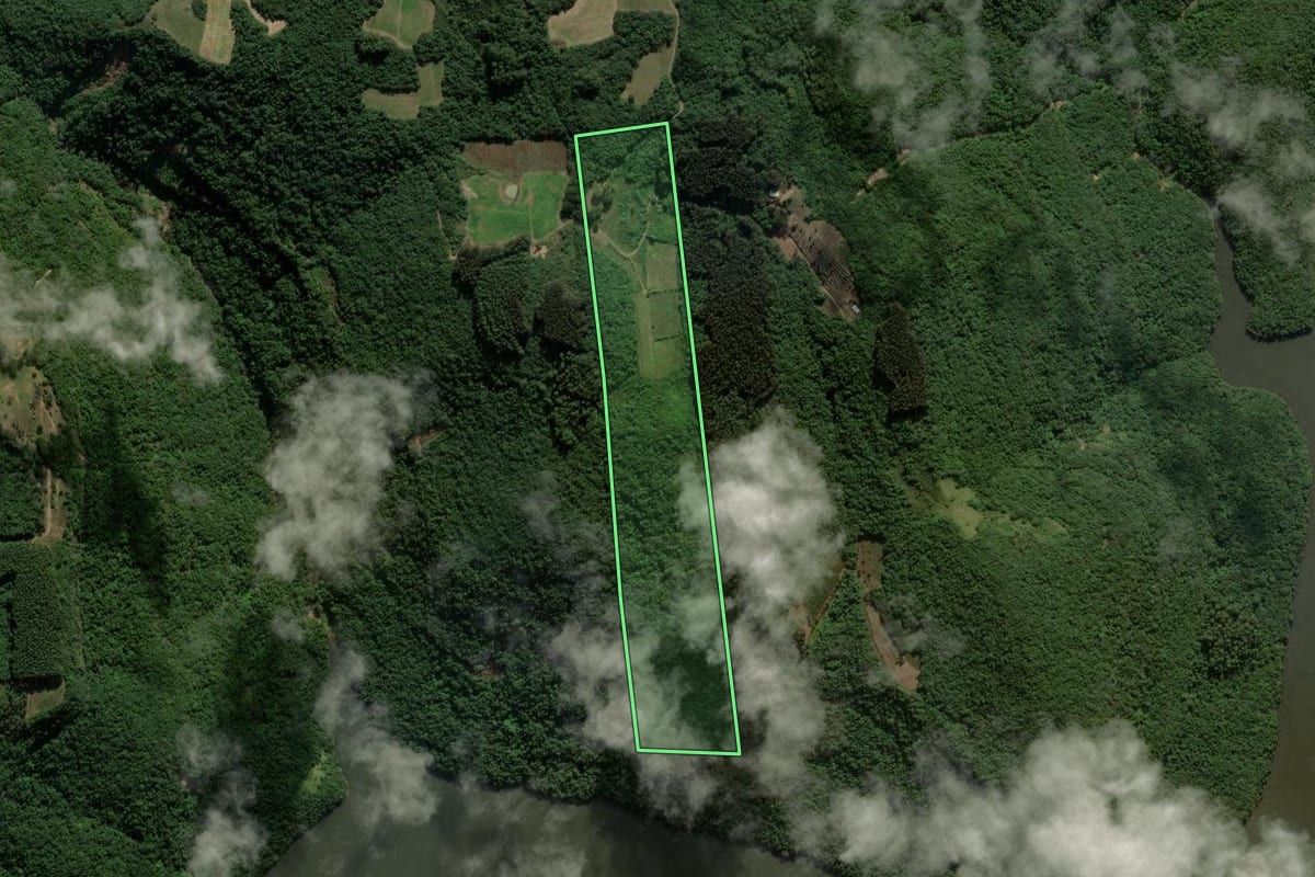 Imagem de satélite do imóvel rural em Nova Roma do Sul (RS), com o contorno declarado no CAR desenhado por cima.