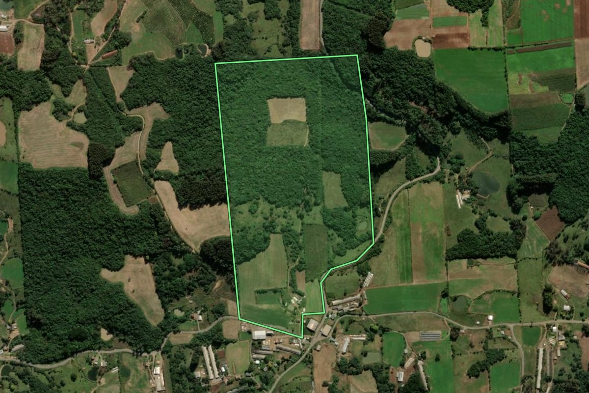 Imagem de satélite do imóvel rural em Nova Roma do Sul (RS), com o contorno declarado no CAR desenhado por cima.