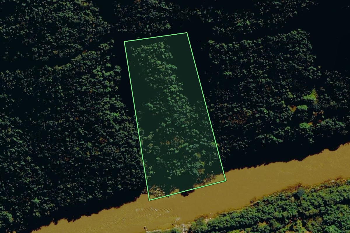 Imagem de satélite do imóvel rural em Nova Roma do Sul (RS), com o contorno declarado no CAR desenhado por cima.