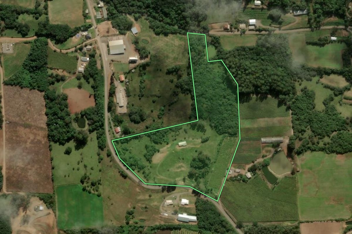 Imagem de satélite do imóvel rural em Nova Roma do Sul (RS), com o contorno declarado no CAR desenhado por cima.