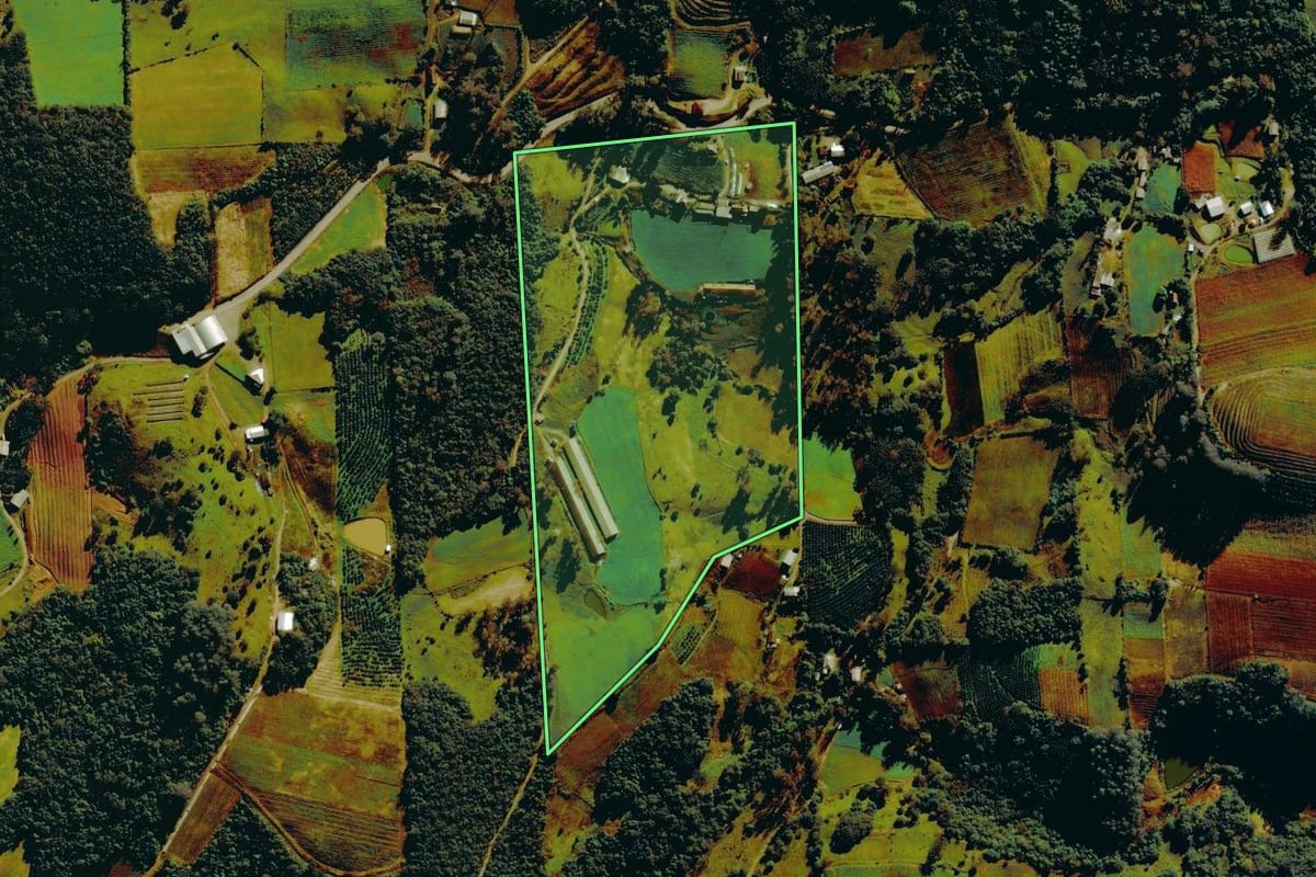 Imagem de satélite do imóvel rural em Nova Roma do Sul (RS), com o contorno declarado no CAR desenhado por cima.