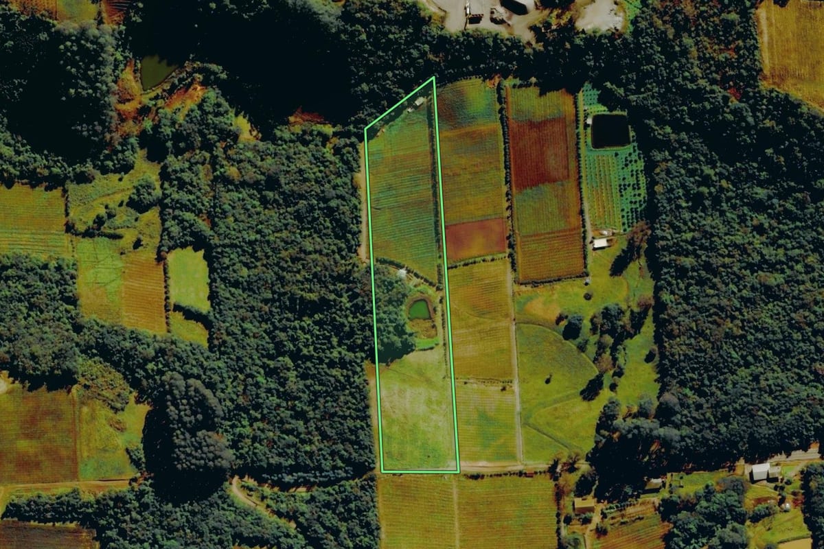 Imagem de satélite do imóvel rural em Nova Roma do Sul (RS), com o contorno declarado no CAR desenhado por cima.