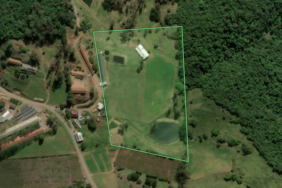 Imagem de satélite do imóvel rural em Nova Roma do Sul (RS), com o contorno declarado no CAR desenhado por cima.