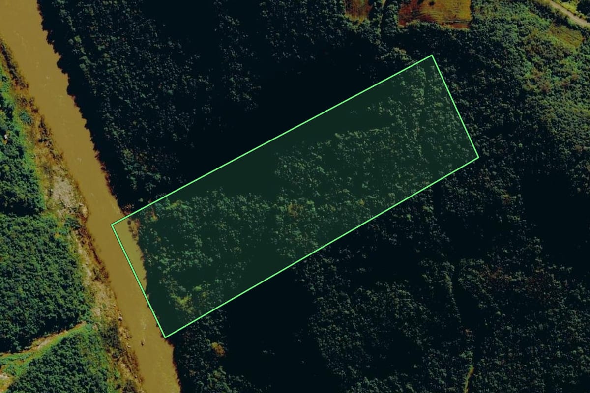 Imagem de satélite do imóvel rural em Nova Roma do Sul (RS), com o contorno declarado no CAR desenhado por cima.