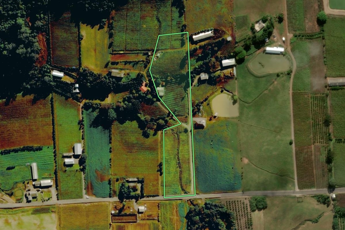 Imagem de satélite do imóvel rural em Nova Roma do Sul (RS), com o contorno declarado no CAR desenhado por cima.