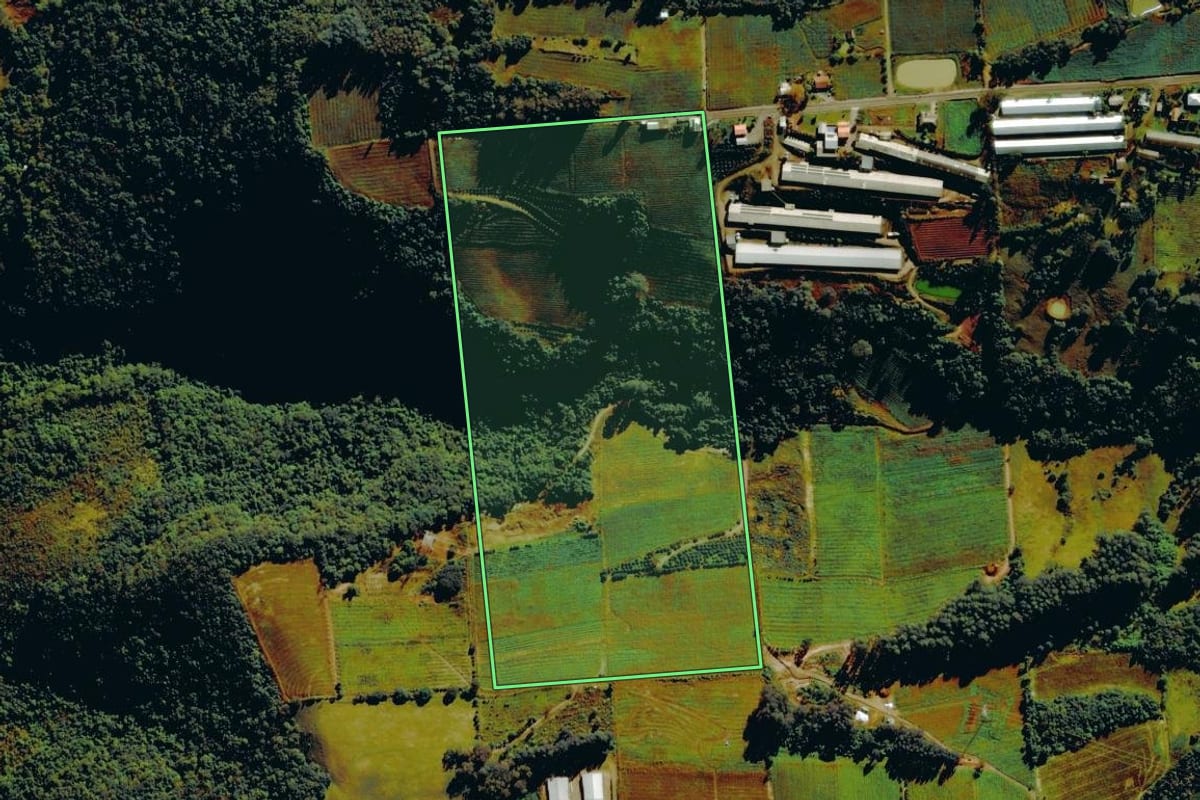 Imagem de satélite do imóvel rural em Nova Roma do Sul (RS), com o contorno declarado no CAR desenhado por cima.