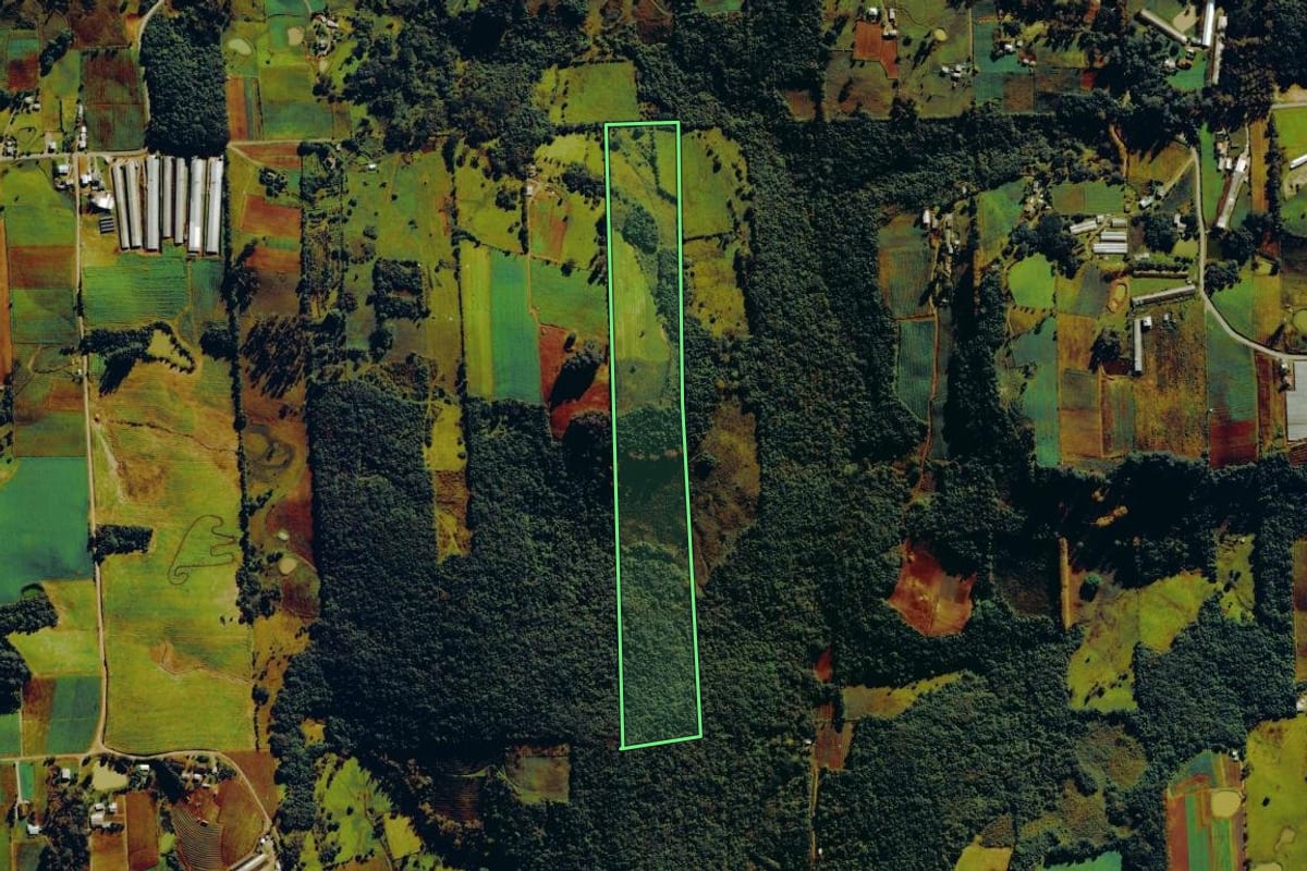 Imagem de satélite do imóvel rural em Nova Roma do Sul (RS), com o contorno declarado no CAR desenhado por cima.