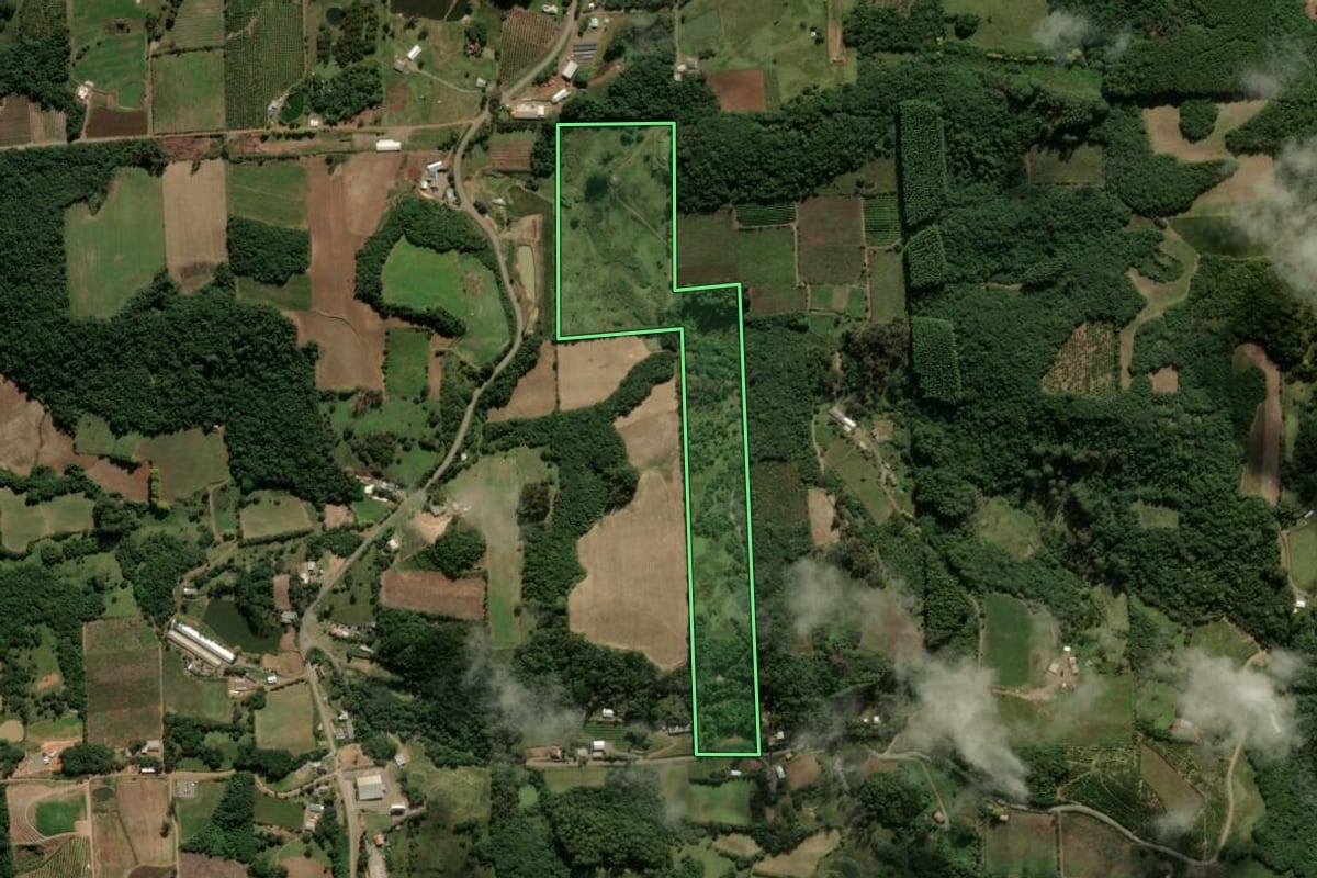 Imagem de satélite do imóvel rural em Nova Roma do Sul (RS), com o contorno declarado no CAR desenhado por cima.