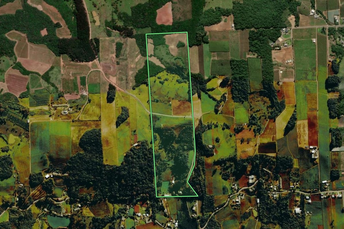 Imagem de satélite do imóvel rural em Nova Roma do Sul (RS), com o contorno declarado no CAR desenhado por cima.
