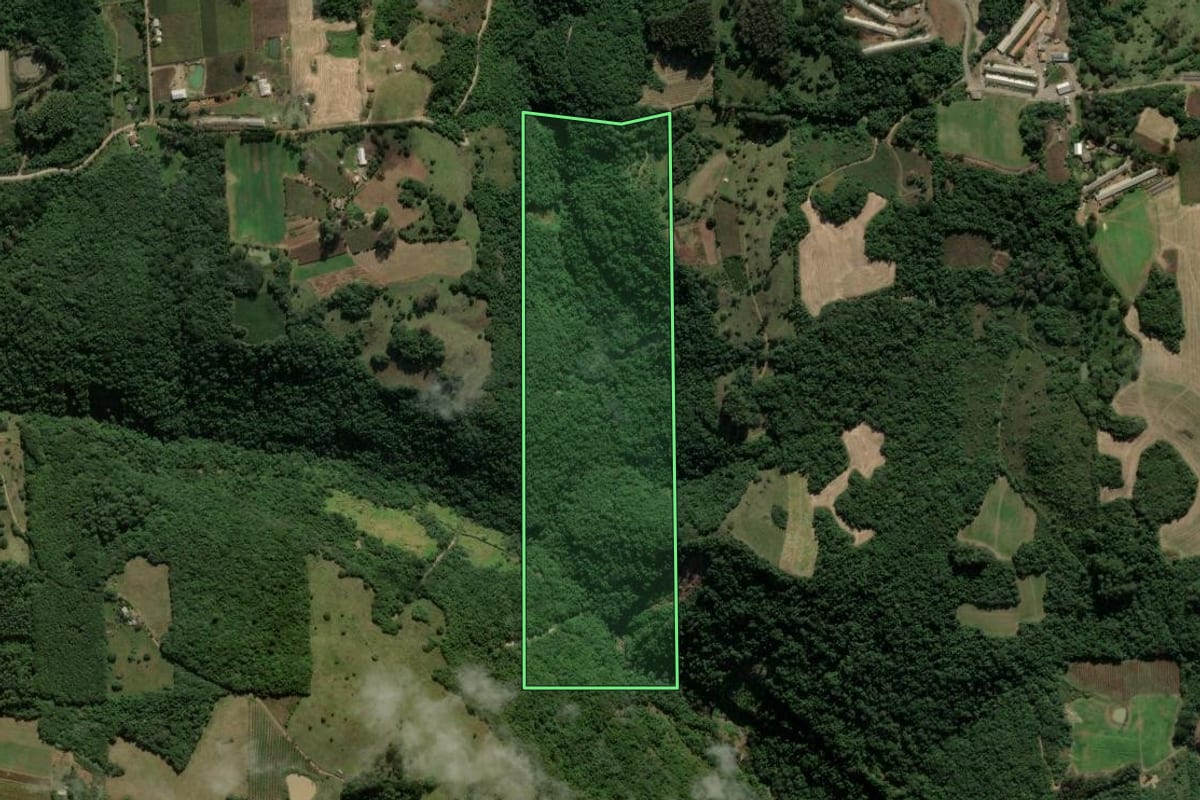 Imagem de satélite do imóvel rural em Nova Roma do Sul (RS), com o contorno declarado no CAR desenhado por cima.