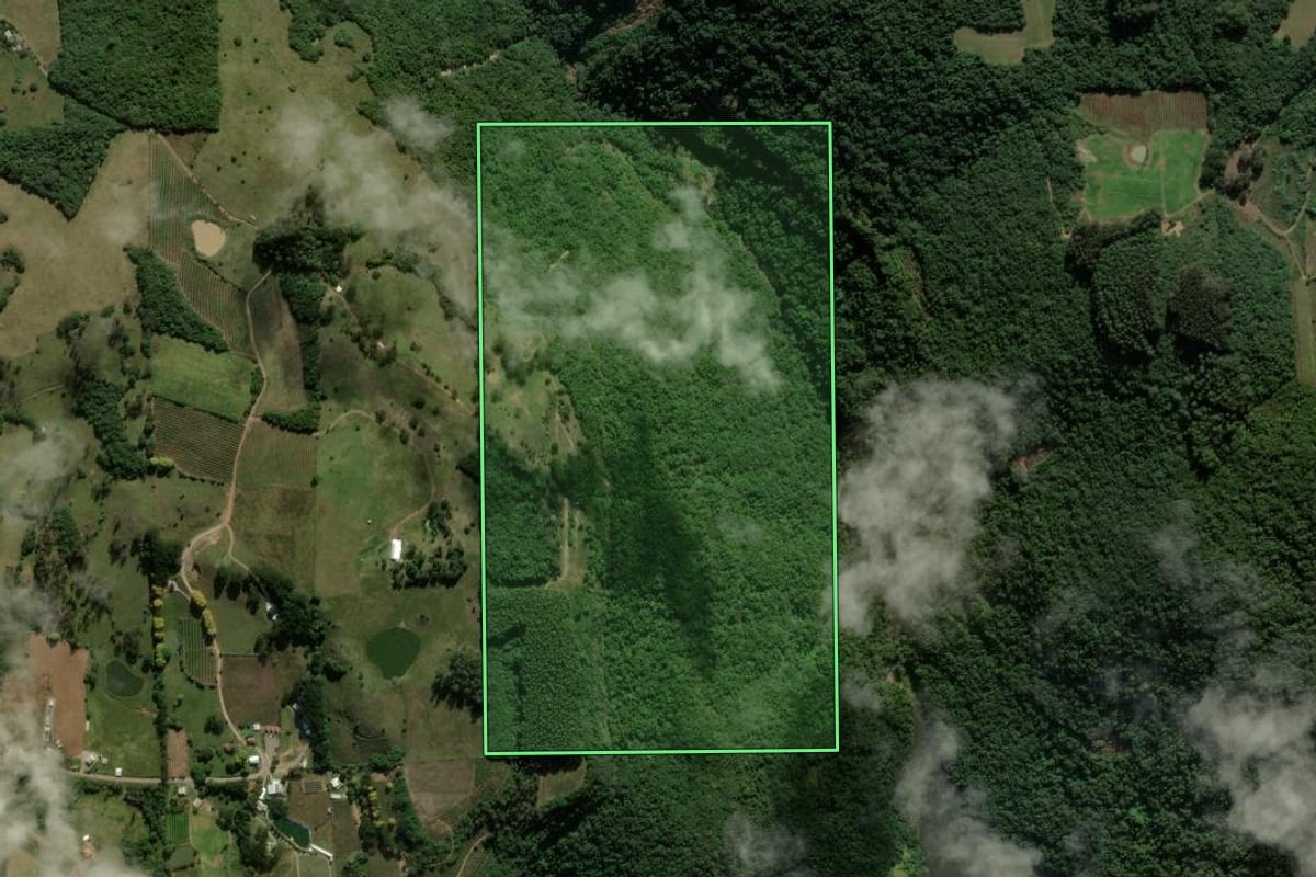 Imagem de satélite do imóvel rural em Nova Roma do Sul (RS), com o contorno declarado no CAR desenhado por cima.