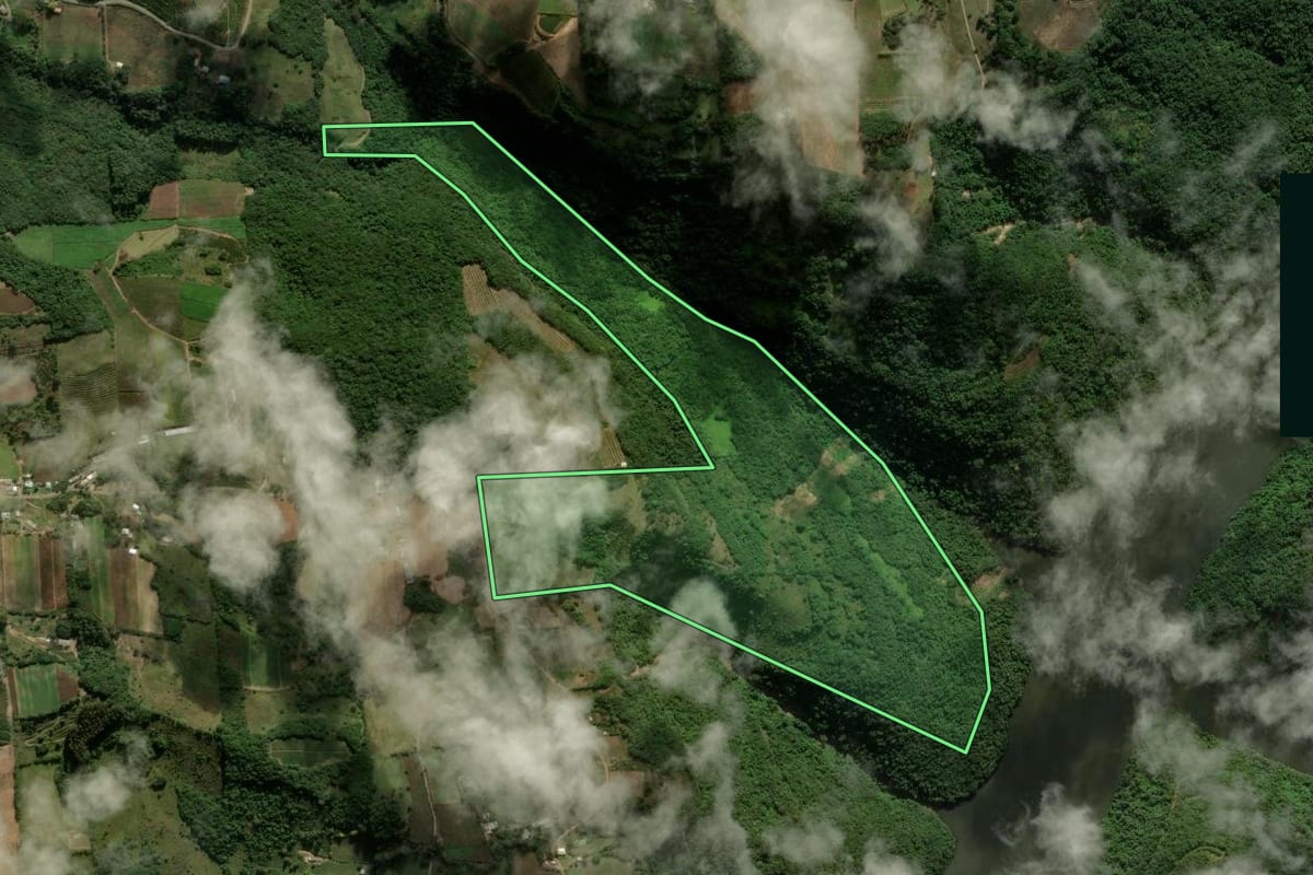 Imagem de satélite do imóvel rural em Nova Roma do Sul (RS), com o contorno declarado no CAR desenhado por cima.