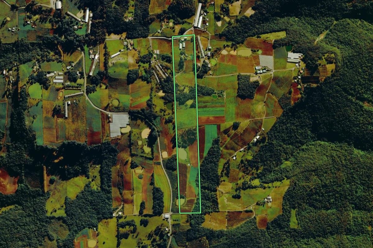 Imagem de satélite do imóvel rural em Nova Roma do Sul (RS), com o contorno declarado no CAR desenhado por cima.