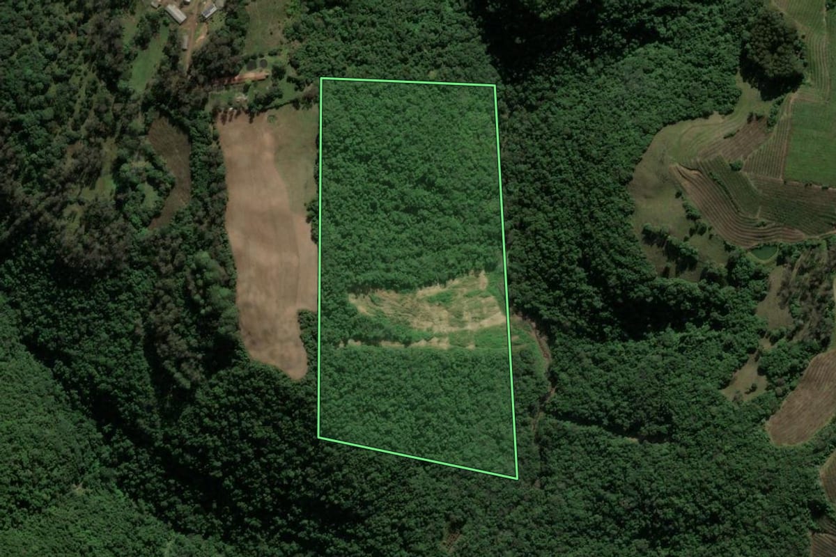 Imagem de satélite do imóvel rural em Nova Roma do Sul (RS), com o contorno declarado no CAR desenhado por cima.