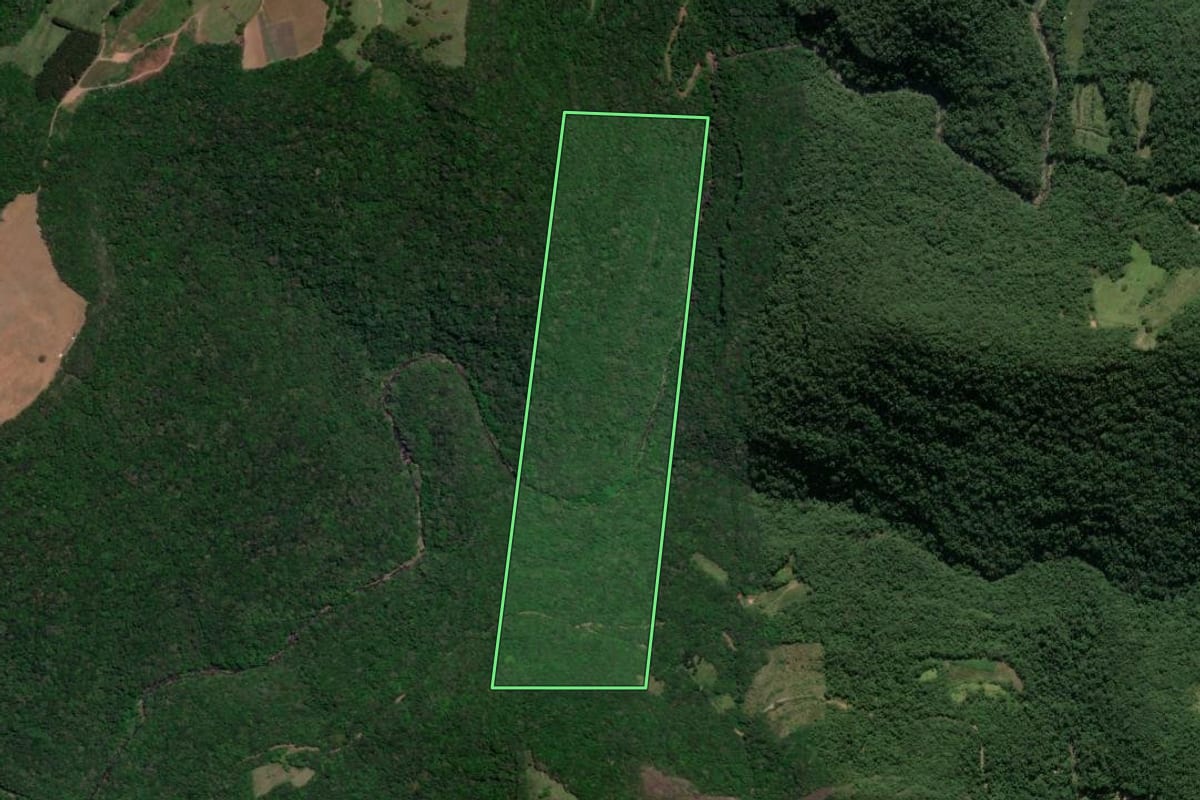 Imagem de satélite do imóvel rural em Nova Roma do Sul (RS), com o contorno declarado no CAR desenhado por cima.