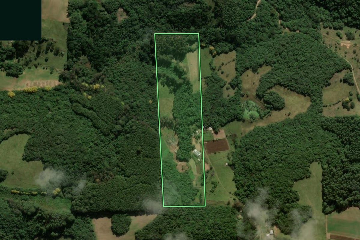 Imagem de satélite do imóvel rural em Nova Roma do Sul (RS), com o contorno declarado no CAR desenhado por cima.