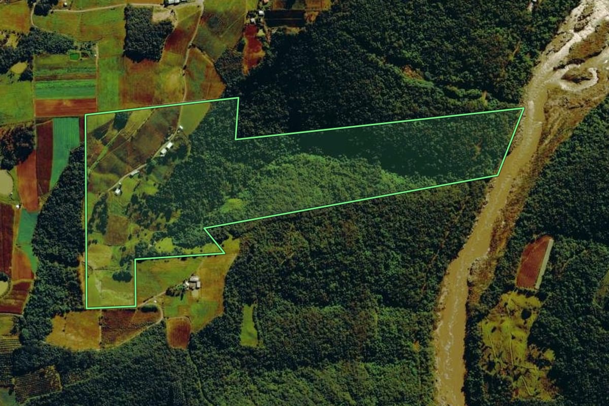 Imagem de satélite do imóvel rural em Nova Roma do Sul (RS), com o contorno declarado no CAR desenhado por cima.