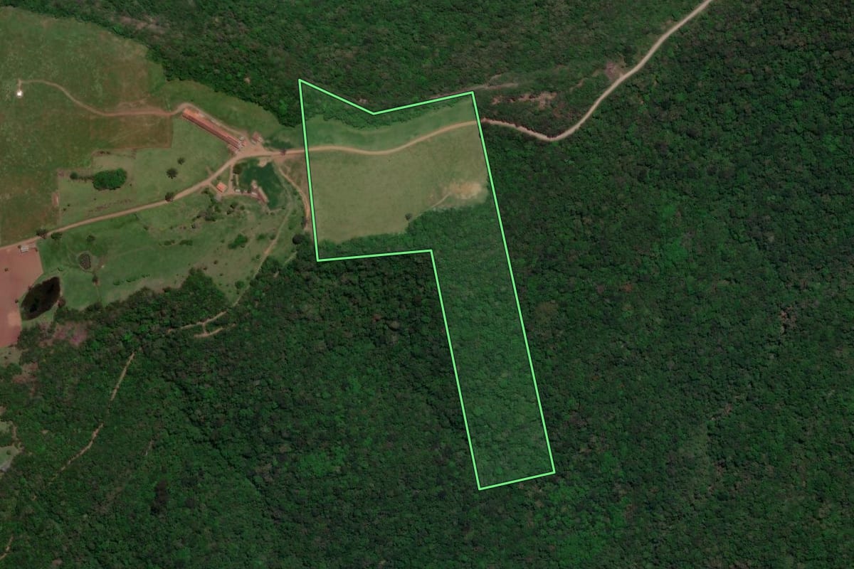 Imagem de satélite do imóvel rural em Nova Roma do Sul (RS), com o contorno declarado no CAR desenhado por cima.
