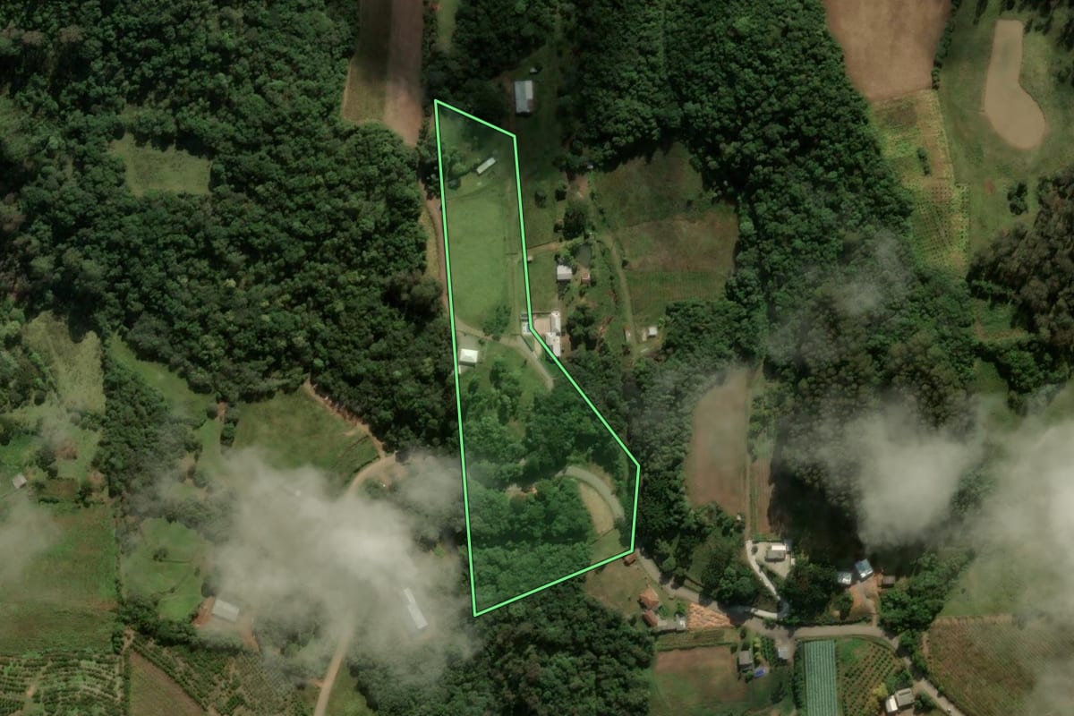 Imagem de satélite do imóvel rural em Nova Roma do Sul (RS), com o contorno declarado no CAR desenhado por cima.