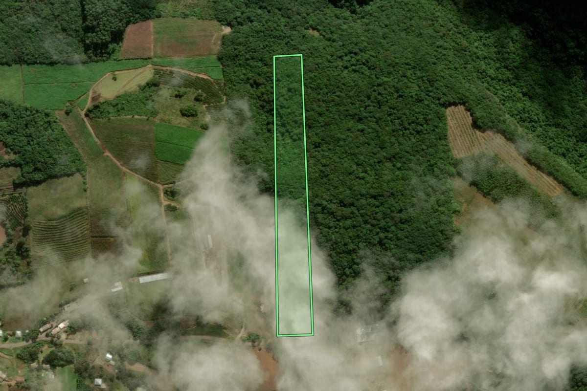 Imagem de satélite do imóvel rural em Nova Roma do Sul (RS), com o contorno declarado no CAR desenhado por cima.