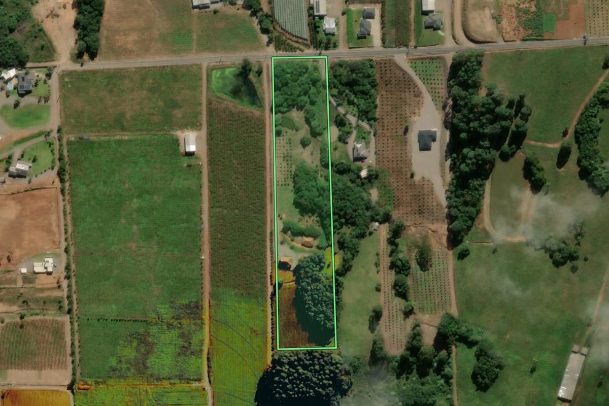 Imagem de satélite do imóvel rural em Nova Roma do Sul (RS), com o contorno declarado no CAR desenhado por cima.